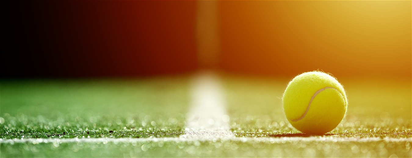 Grandes tenistas no Wimbledon 2019