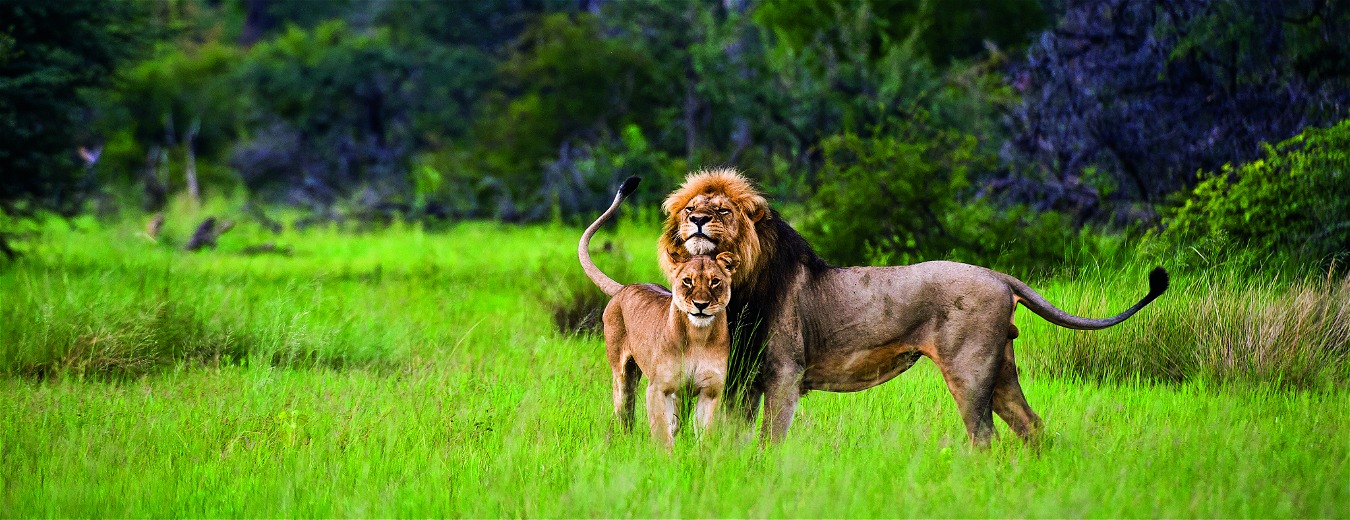 A The Traveller mais romântica do ano