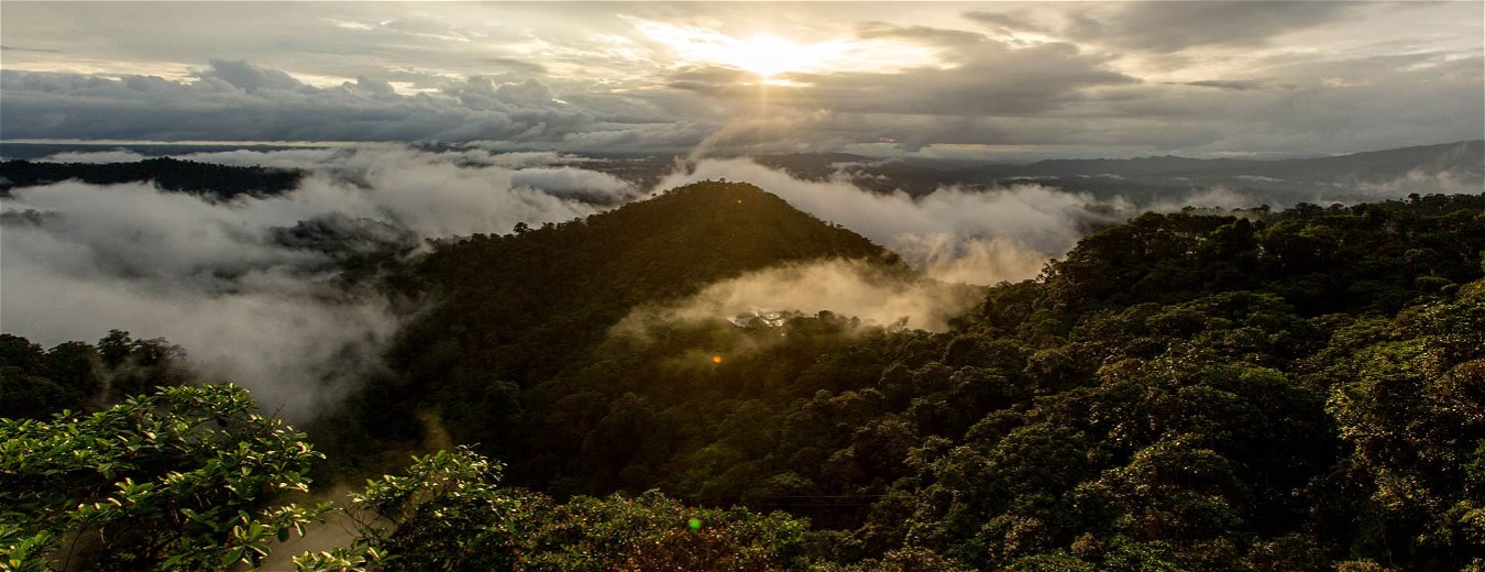 Reserva Privada Mashpi