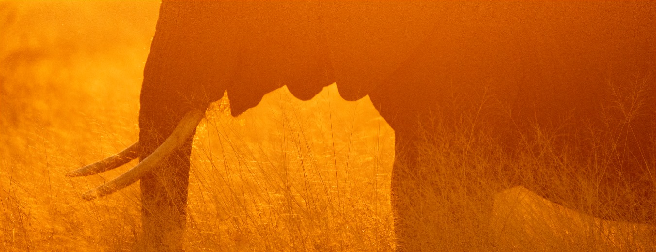 Um história de proteção na Tanzânia