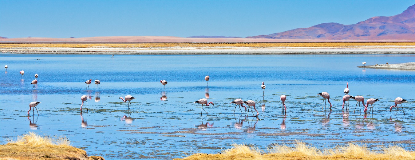 Viaje até 2023 nos lodges do explora