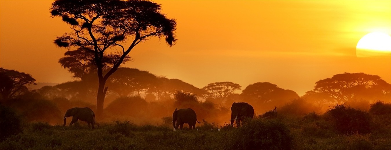 Safári e Praia na África