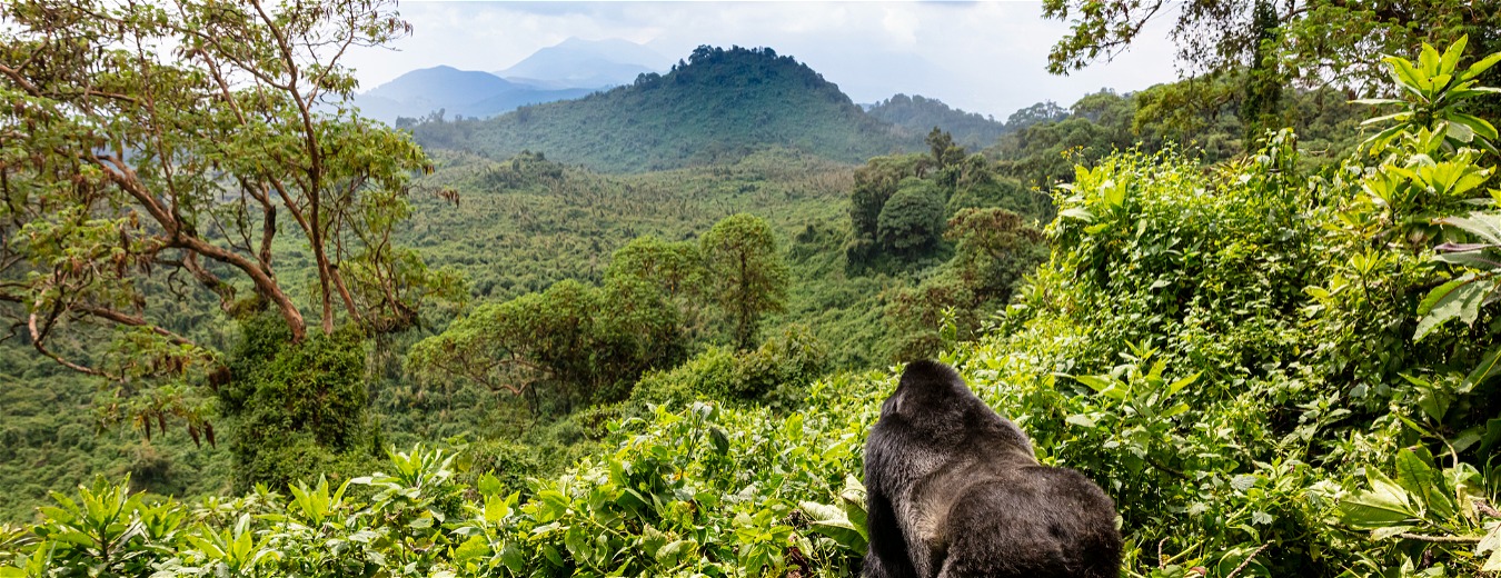 O seu momento de explorar o mundo