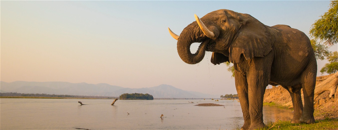 Pela água, pela terra ou sobre trilhos: o Zimbábue é um espetáculo da natureza em diversas formas