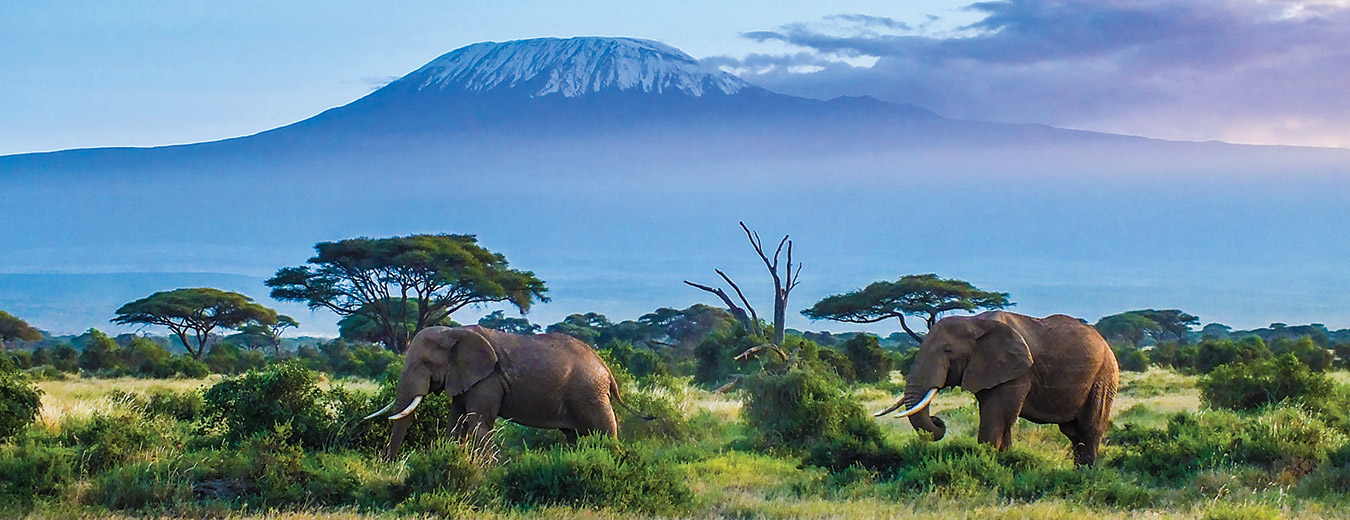 Amboseli National Park