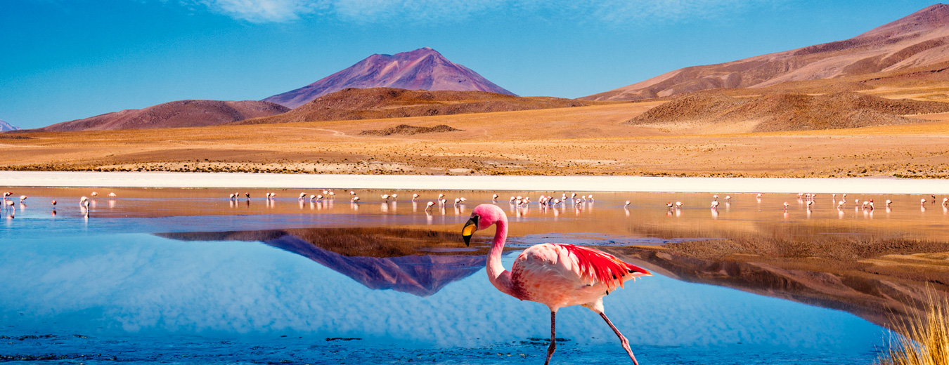 Atacama