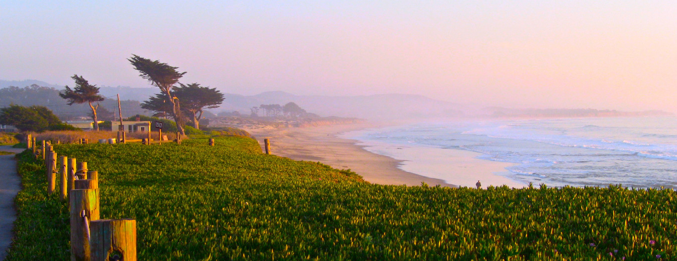 Half Moon Bay