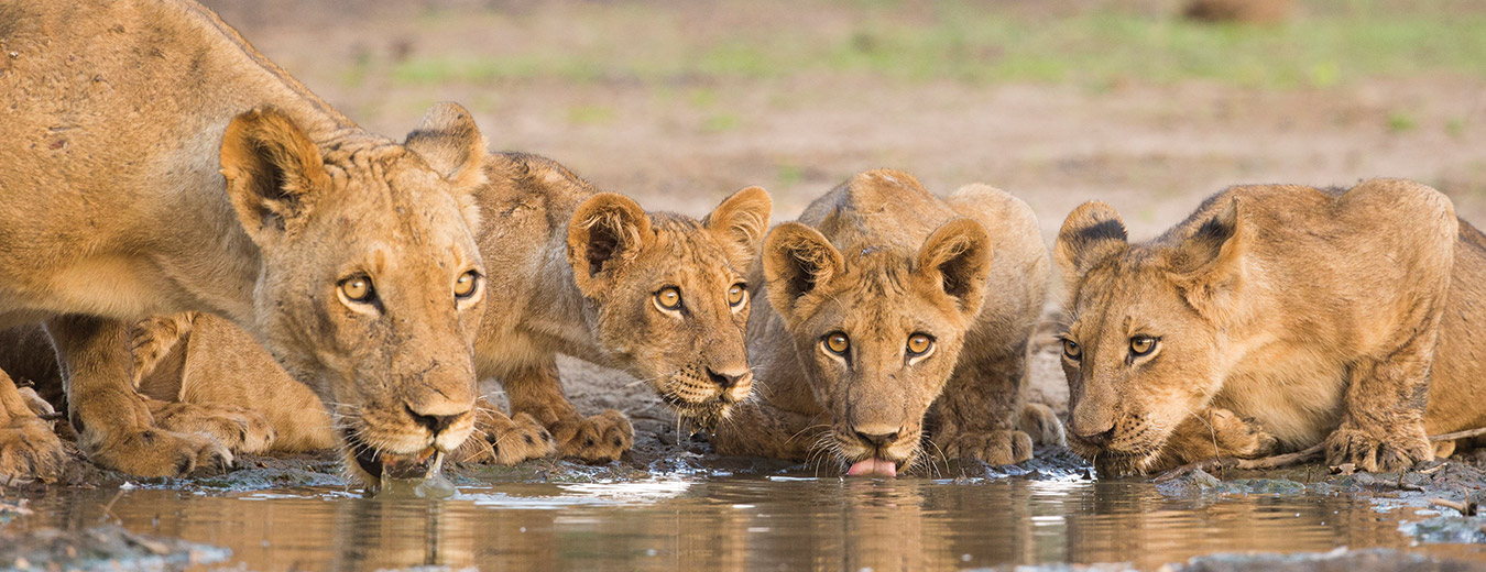 Hwangwe National Park