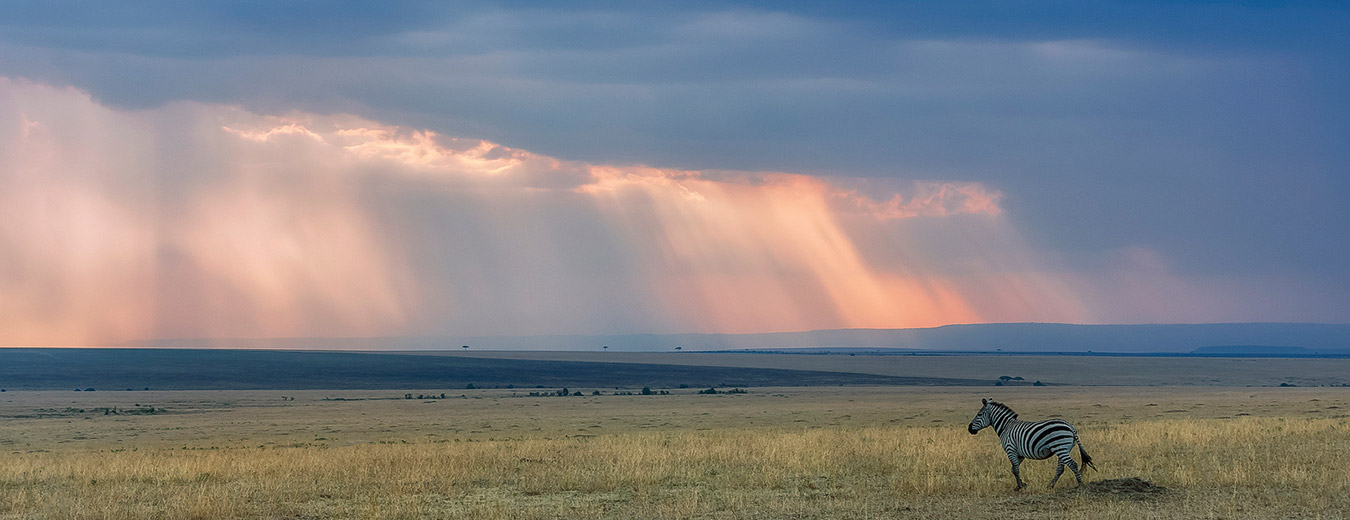 Masai Mara Game Reserve
