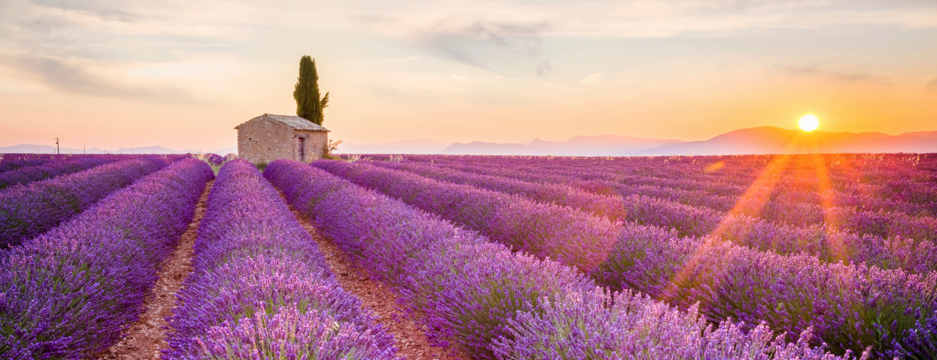 Provence