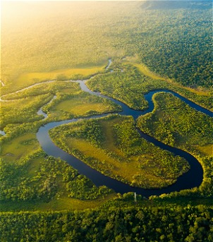 Pantanal