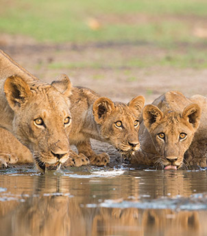 Hwangwe National Park