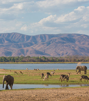 Mana Pools National Park