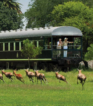 Rovos Rail