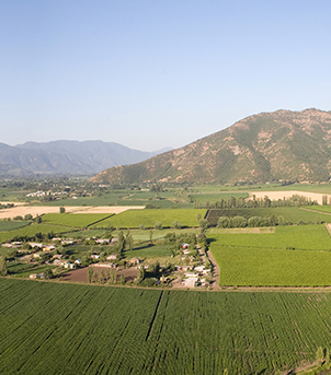 Vale de Colchagua