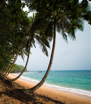 São Tomé e Príncipe