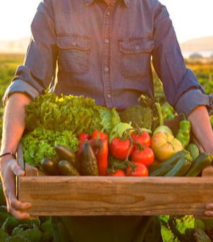 Vem aí o segundo Organic Festival Trancoso