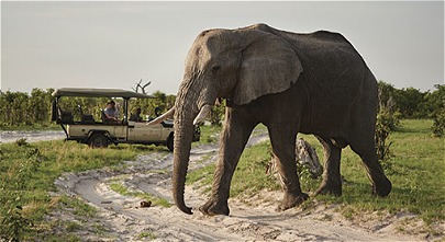 Belmond Savute Elephant Lodge