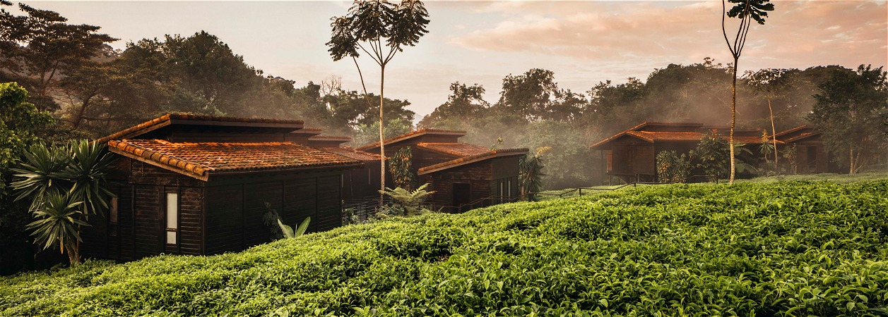 One&Only Lodge Nyungwe House