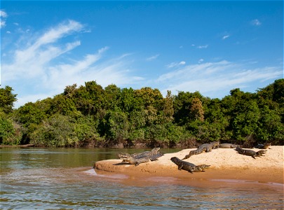 Pantanal