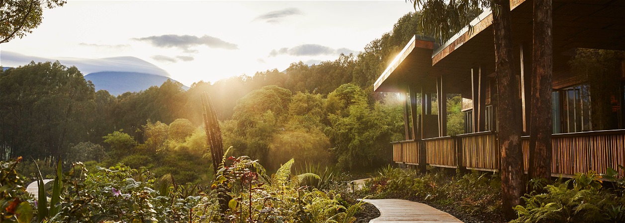 One&Only Gorilla's Nest