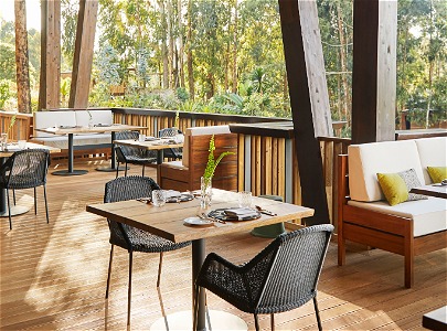 One&Only Gorilla's Nest