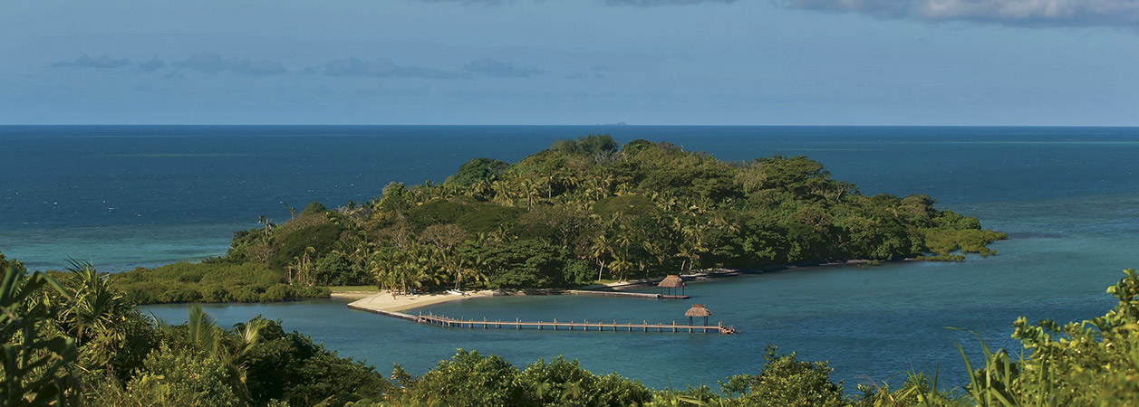 Dolphin Private Island