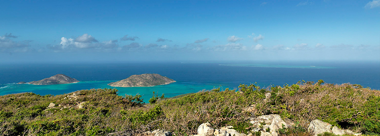 Lizard Island 