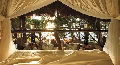 Dolphin Private Island