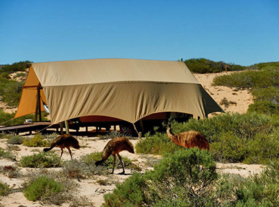 Sal Salis Ningaloo Reef