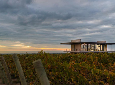 The Vines Resort & Spa