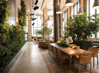 1 Hotel Brooklyn Bridge