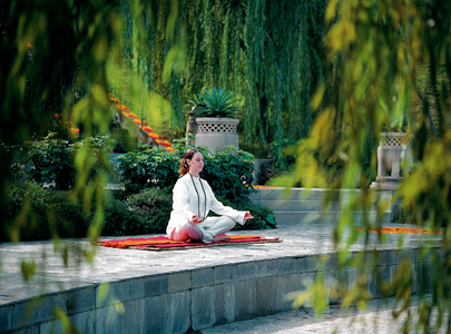 Ananda In the Himalayas