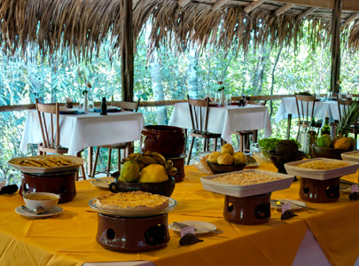 Anavilhanas Jungle Lodge