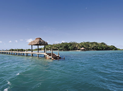 Dolphin Private Island