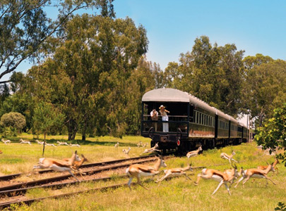 Rovos Rail