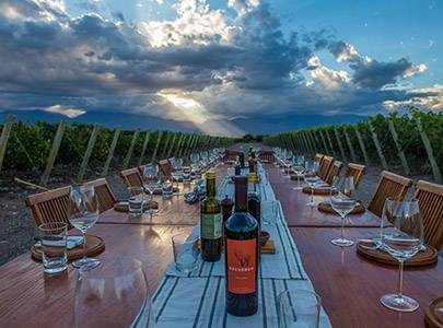 The Vines Resort & Spa